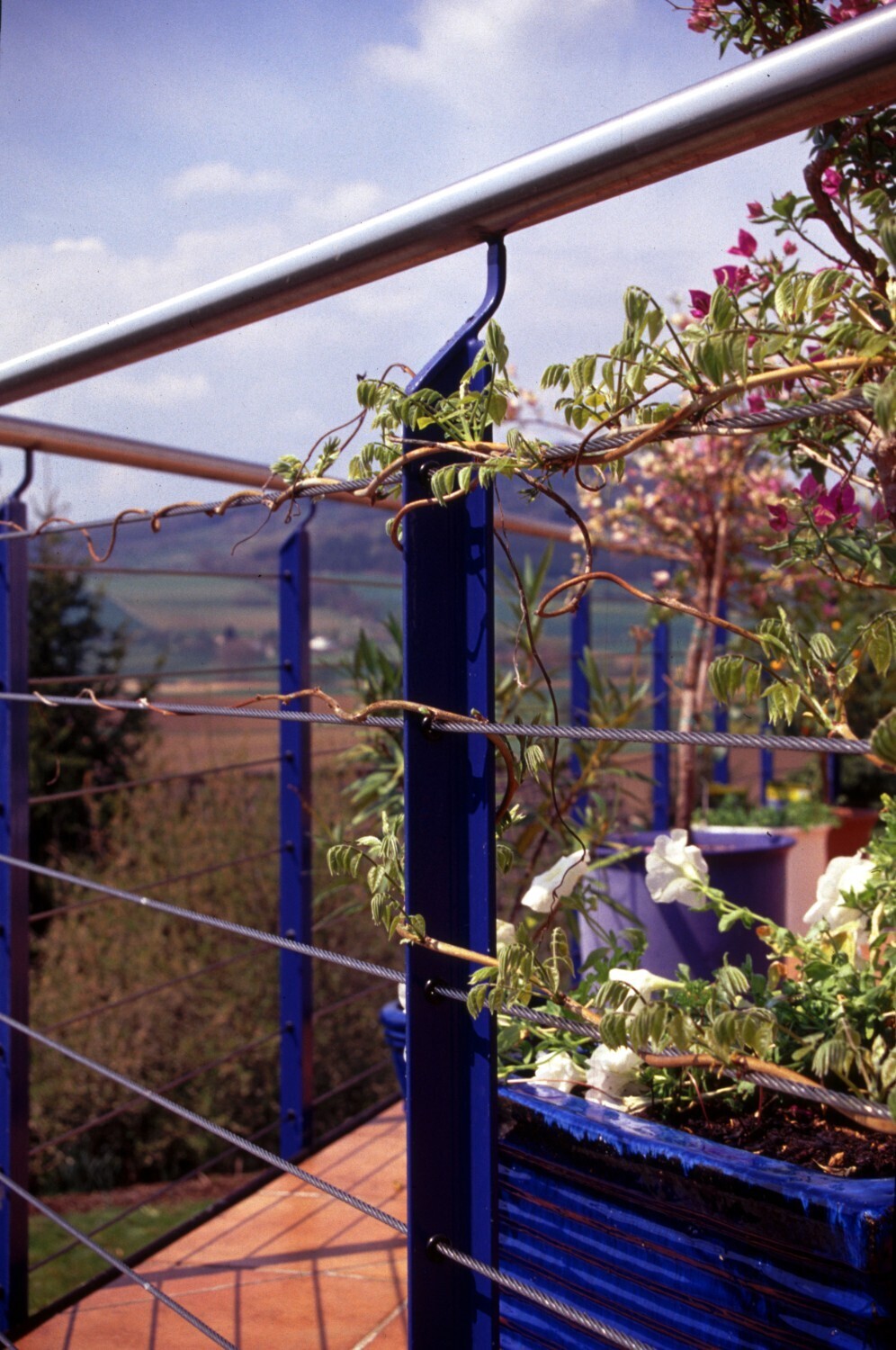 Drahtseile zur Fassadenbegrünung von INOX Drahtseile